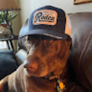 Meet your Posher, Micah